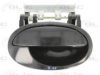 BLIC 6010-04-040404P Door Handle